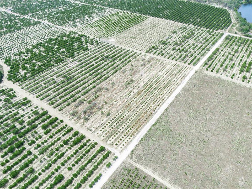 For Sale: $225,000 (5.11 acres)