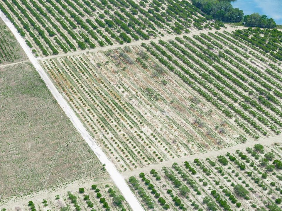 For Sale: $225,000 (5.11 acres)