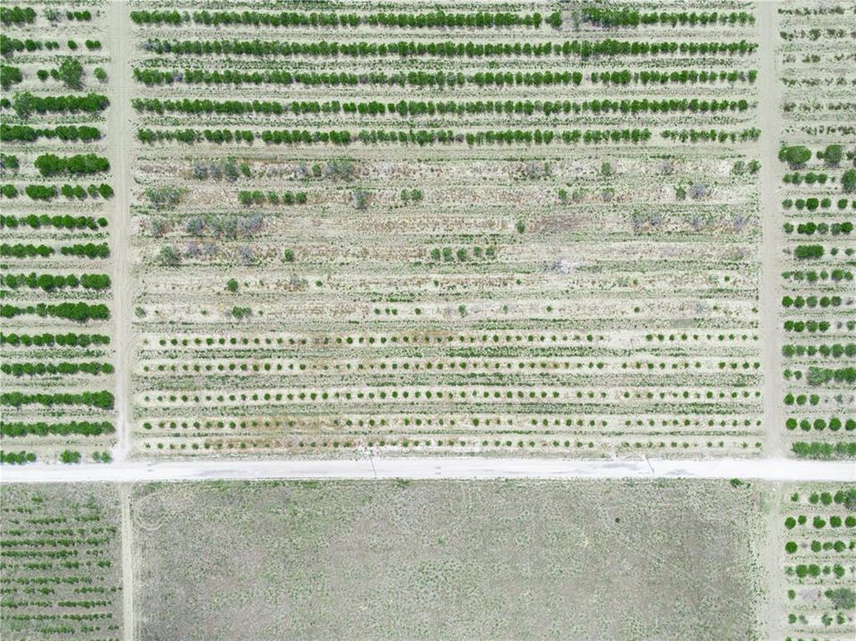 For Sale: $225,000 (5.11 acres)