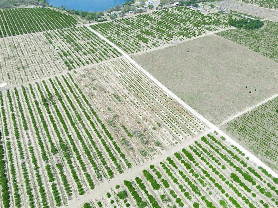 For Sale: $225,000 (5.11 acres)