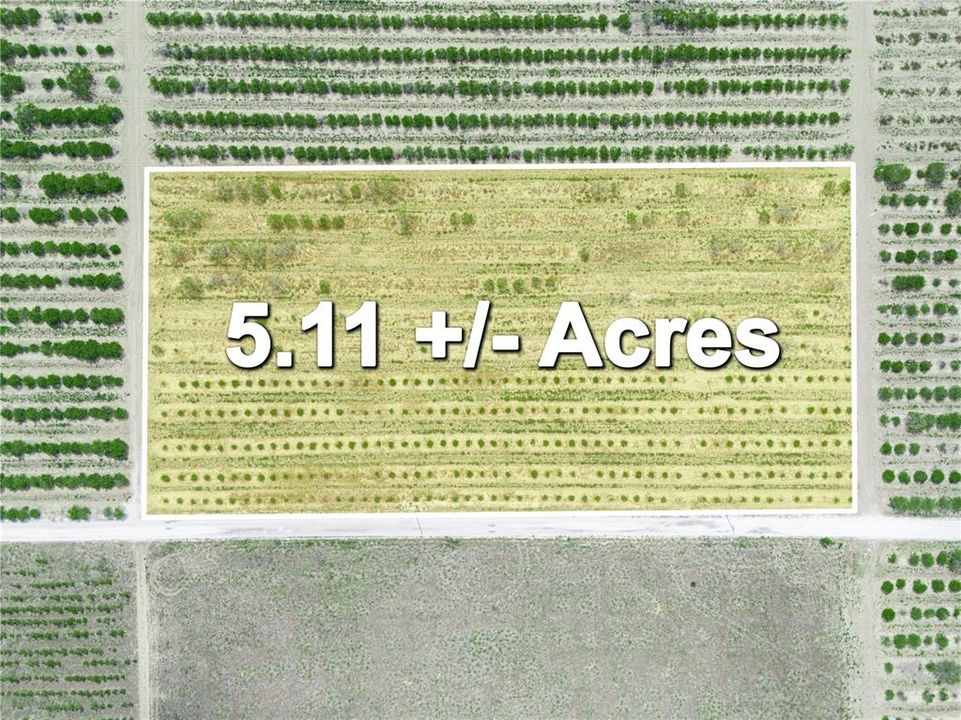 For Sale: $225,000 (5.11 acres)