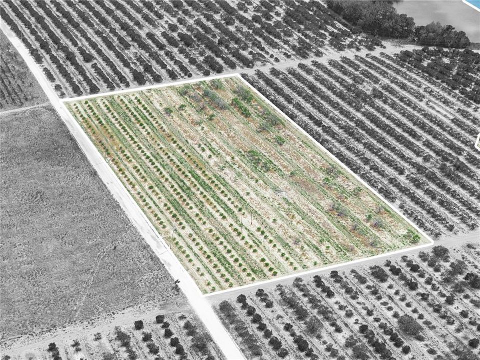 For Sale: $225,000 (5.11 acres)