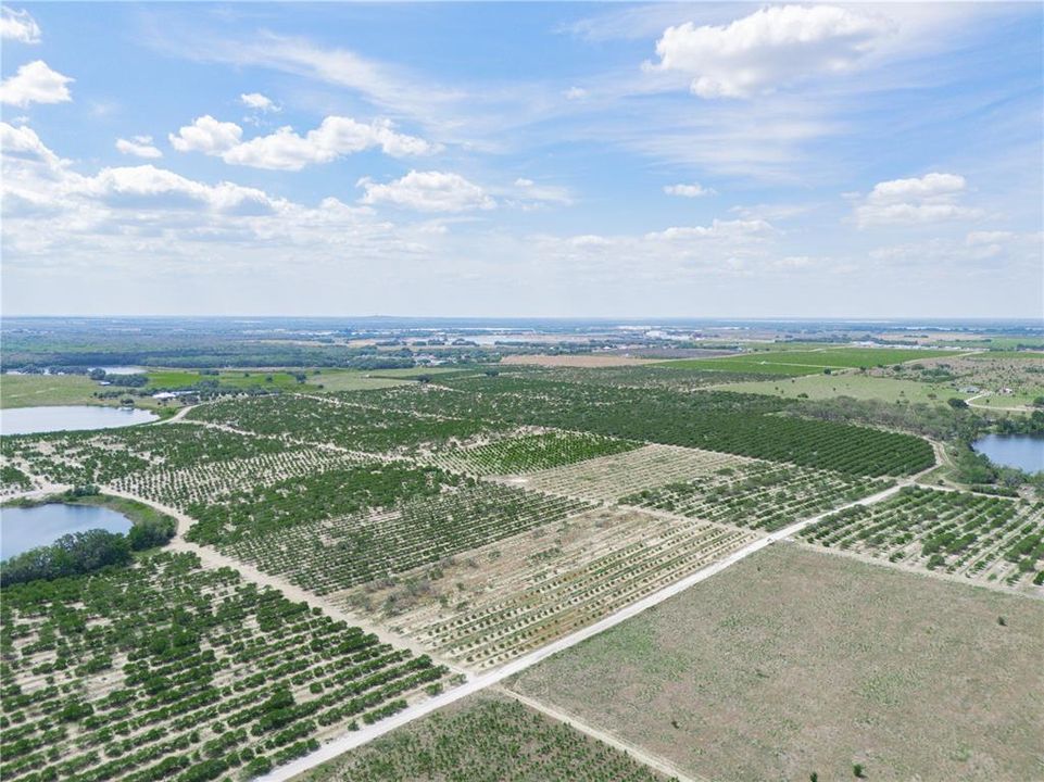 For Sale: $225,000 (5.11 acres)