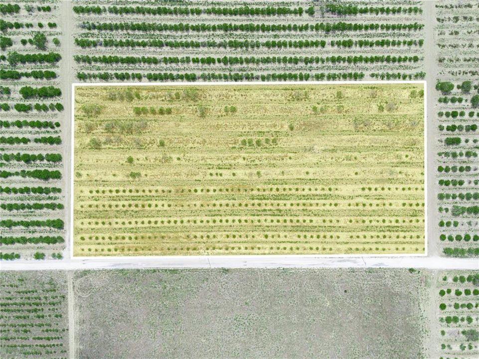 For Sale: $225,000 (5.11 acres)