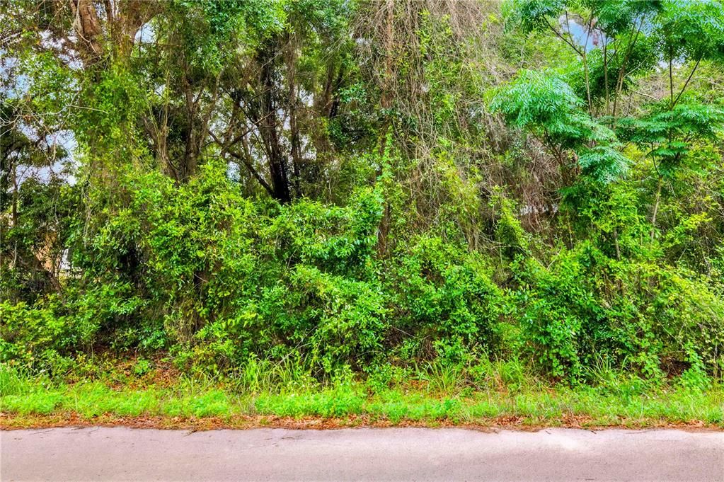 For Sale: $17,500 (0.44 acres)