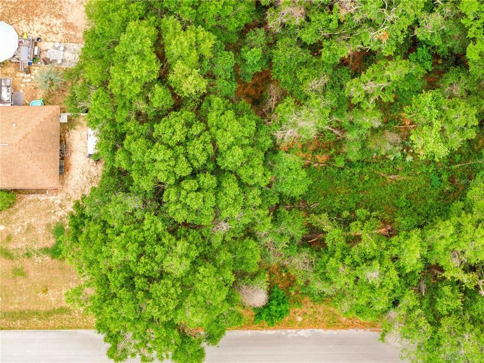 For Sale: $17,500 (0.44 acres)