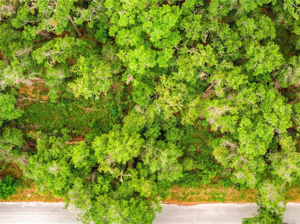 For Sale: $17,500 (0.44 acres)