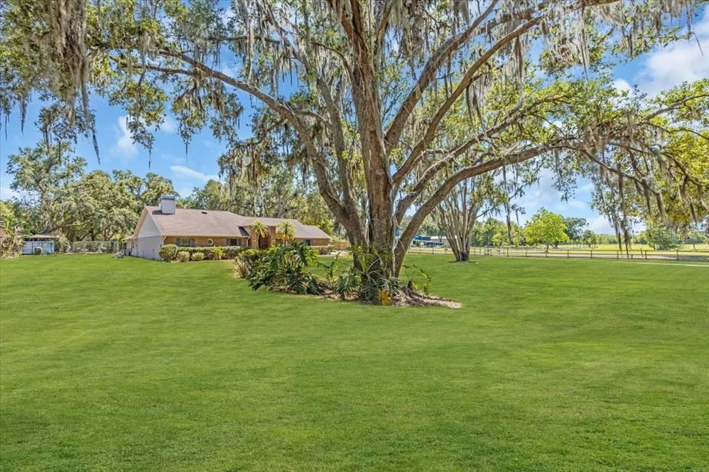 Active With Contract: $785,000 (5 beds, 3 baths, 4142 Square Feet)