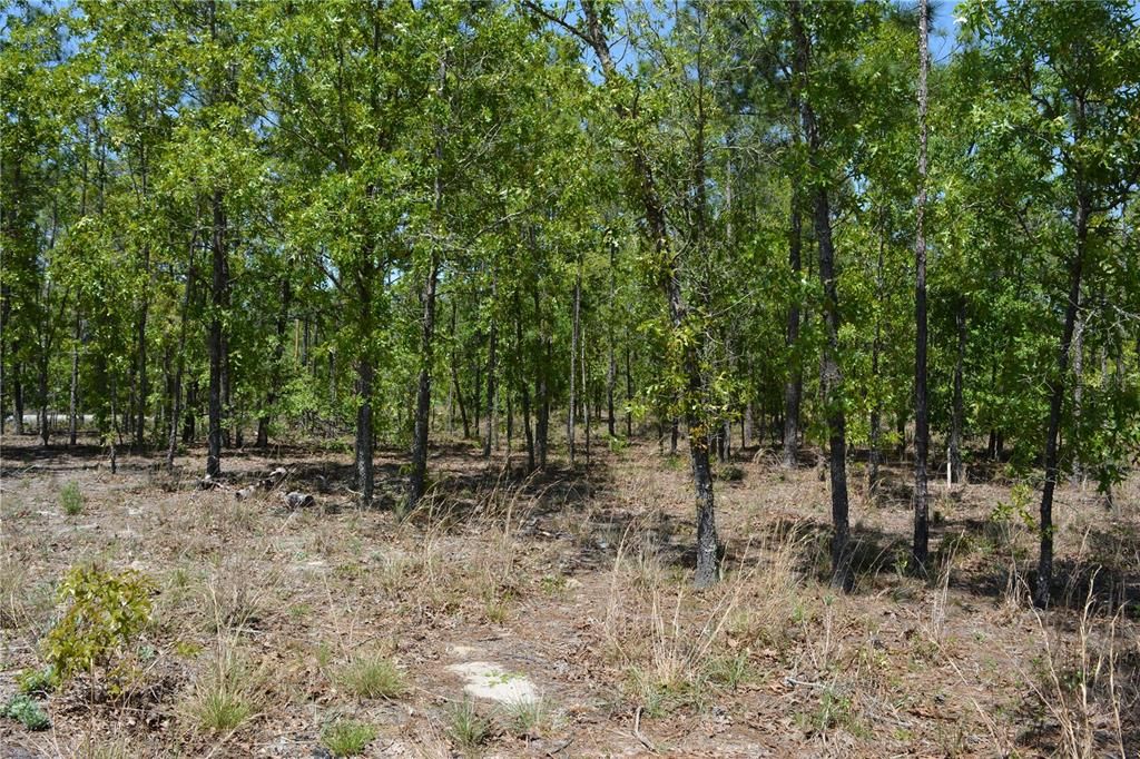 待售: $425,000 (4 贝兹, 3 浴室, 2052 平方英尺)