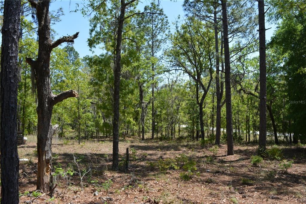 待售: $425,000 (4 贝兹, 3 浴室, 2052 平方英尺)