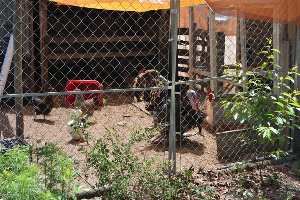 待售: $425,000 (4 贝兹, 3 浴室, 2052 平方英尺)