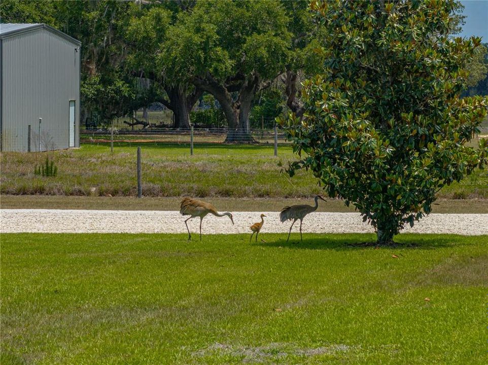 待售: $899,000 (3 贝兹, 3 浴室, 2433 平方英尺)