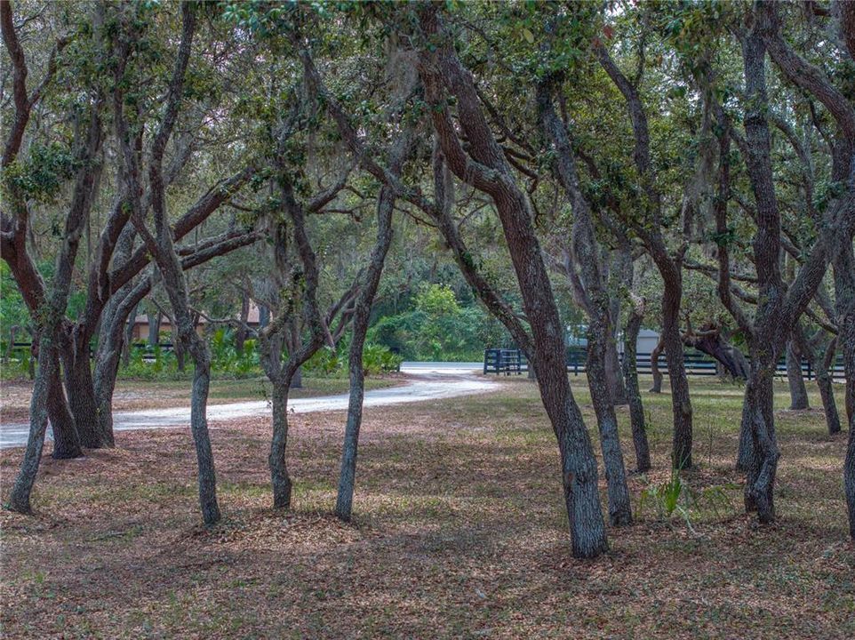 待售: $899,000 (3 贝兹, 3 浴室, 2433 平方英尺)