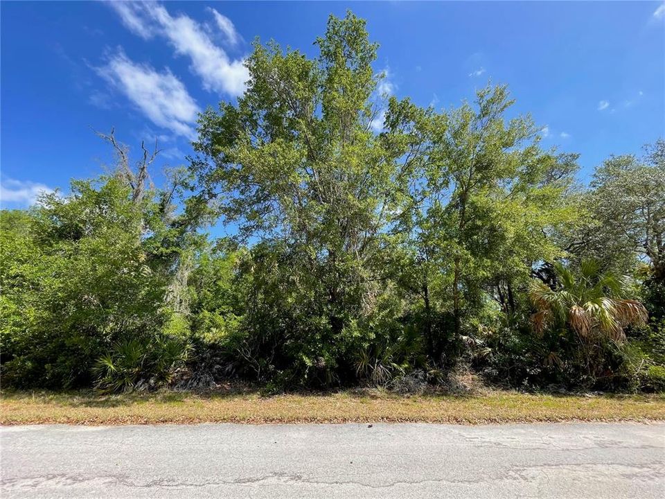 Vendido Recientemente: $31,500 (1.16 acres)