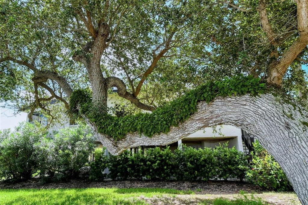 На продажу: $643,000 (2 спален, 2 ванн, 1306 Квадратных фут)