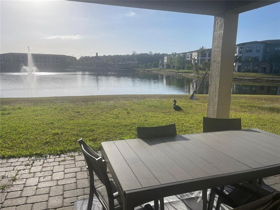 For Rent: $2,400 (4 beds, 2 baths, 1859 Square Feet)