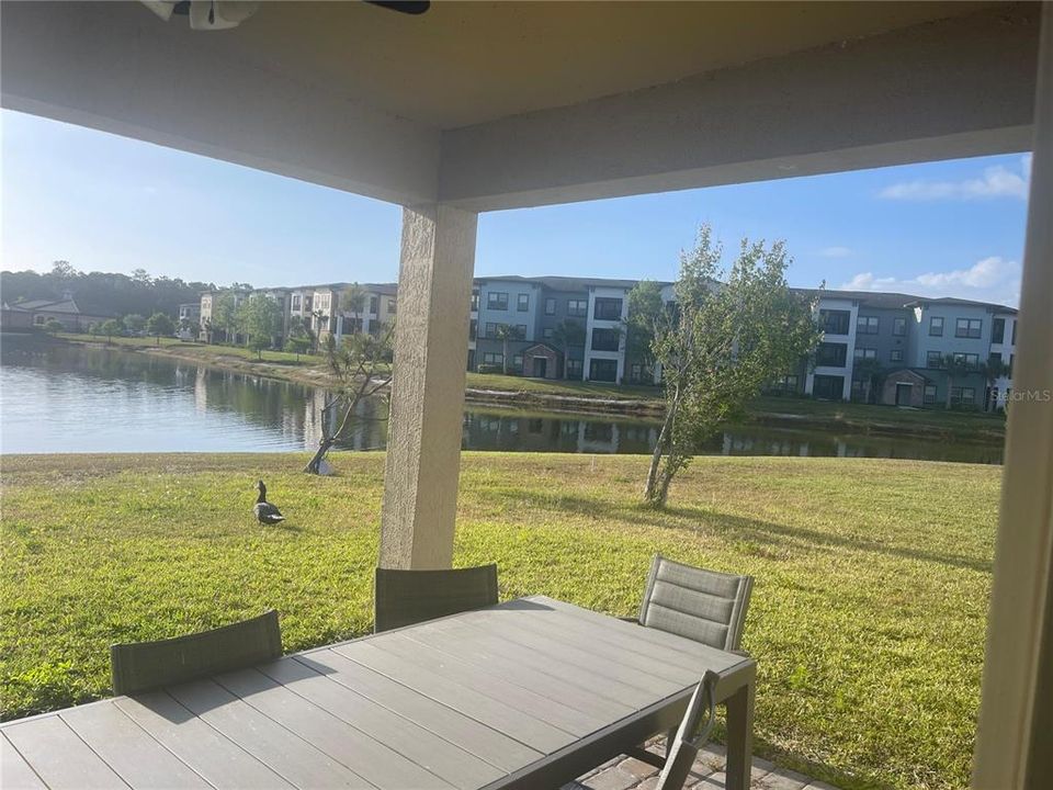 For Rent: $2,400 (4 beds, 2 baths, 1859 Square Feet)