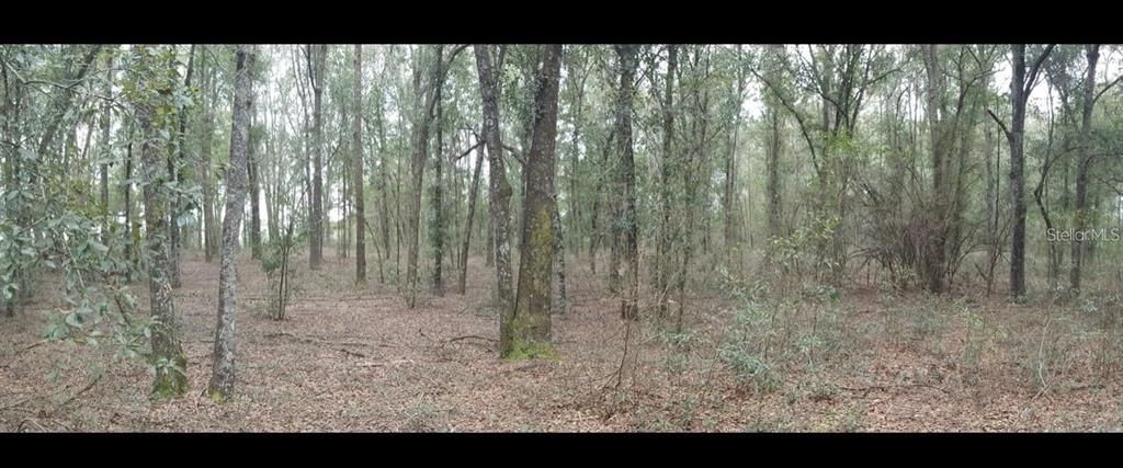 Recently Sold: $125,000 (10.03 acres)