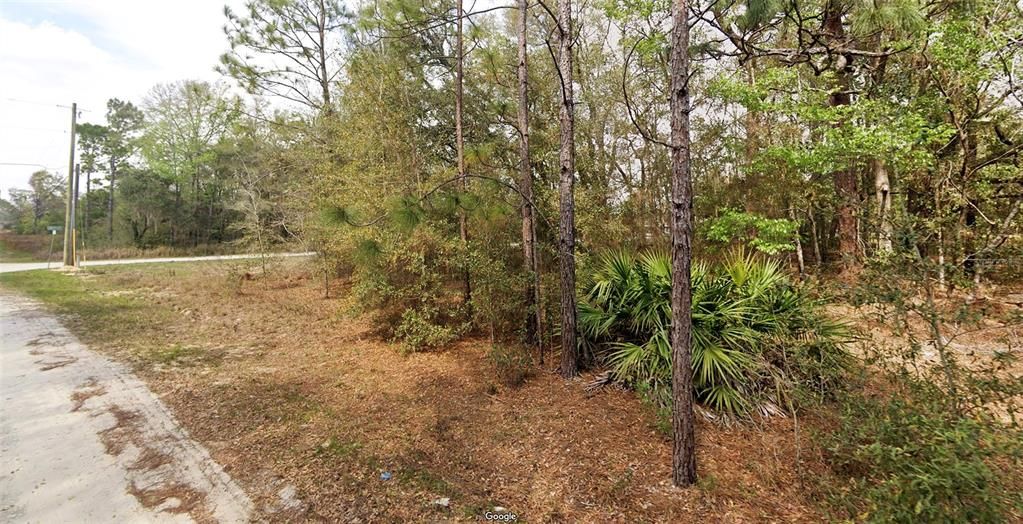 待售: $89,000 (0.25 acres)