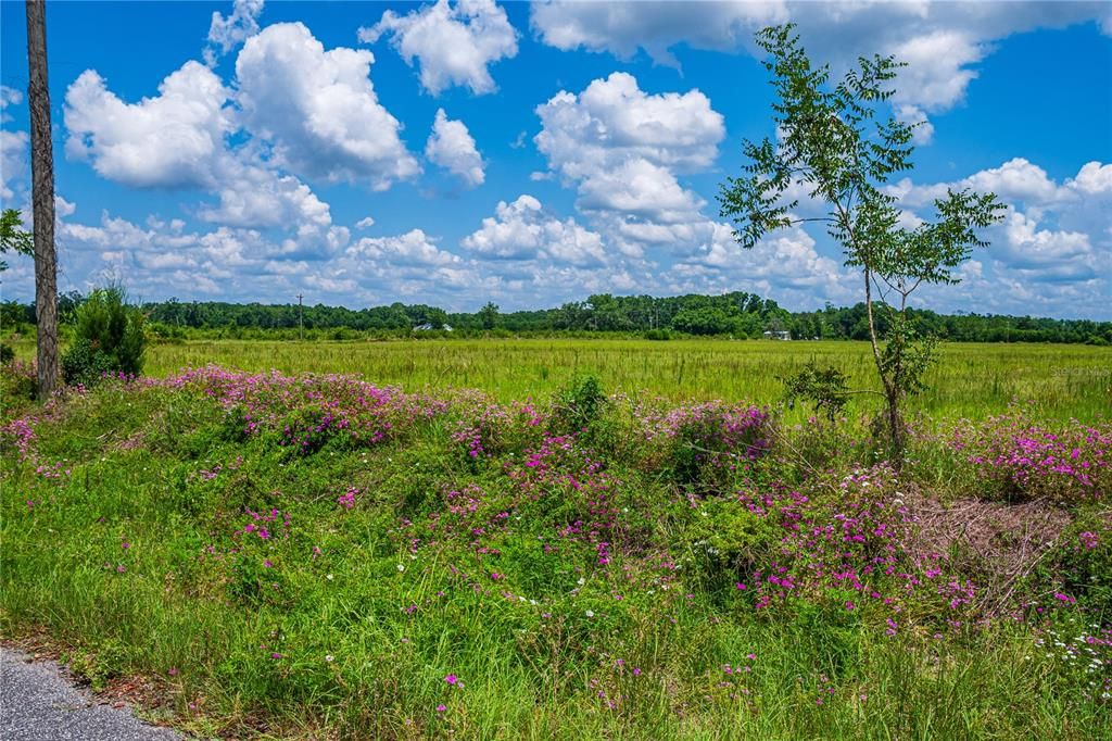 En Venta: $525,525 (54.90 acres)