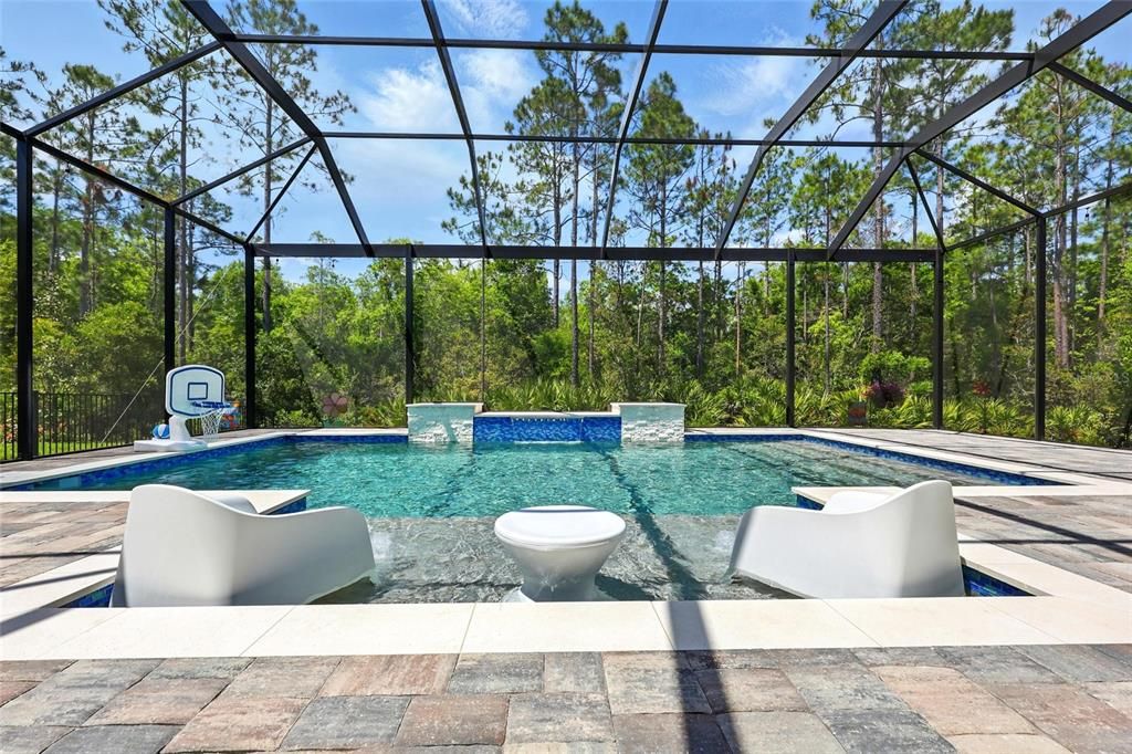 Brand NEW Pool 2024