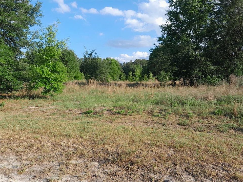 Recently Sold: $75,000 (2.50 acres)