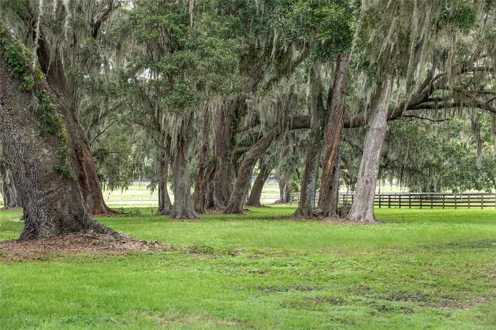 For Sale: $1,999,000 (1 beds, 1 baths, 2088 Square Feet)