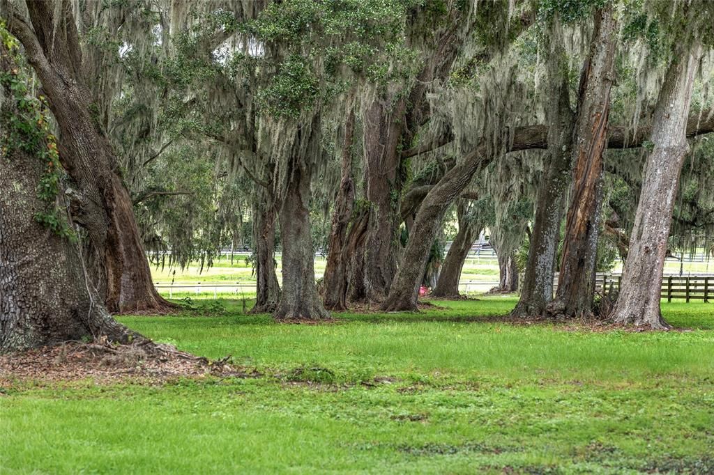 For Sale: $1,999,000 (1 beds, 1 baths, 2088 Square Feet)