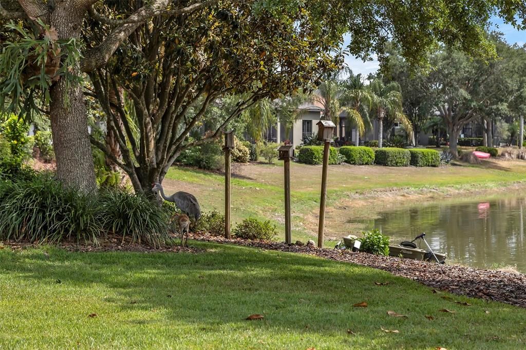 待售: $380,000 (3 贝兹, 2 浴室, 1613 平方英尺)