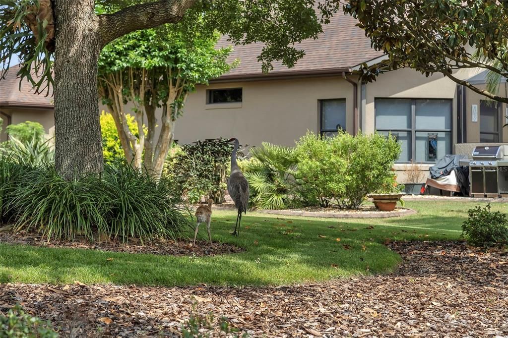 待售: $380,000 (3 贝兹, 2 浴室, 1613 平方英尺)