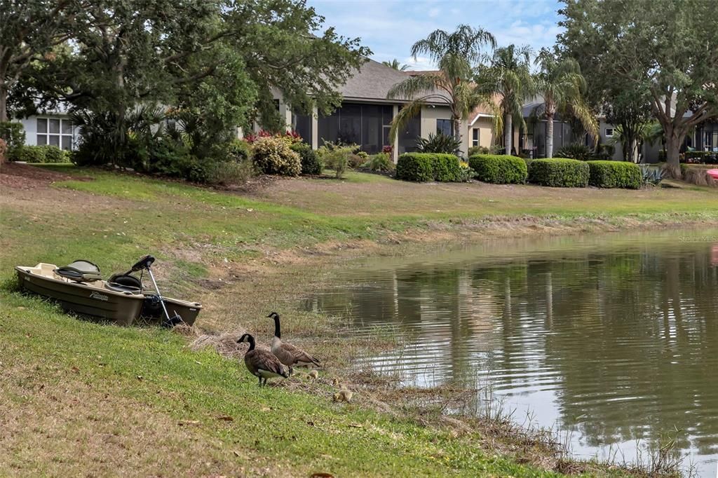 待售: $380,000 (3 贝兹, 2 浴室, 1613 平方英尺)