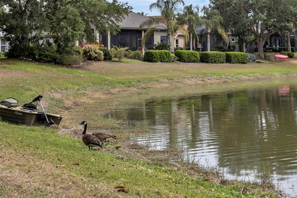 待售: $380,000 (3 贝兹, 2 浴室, 1613 平方英尺)