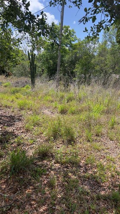 待售: $19,500 (0.13 acres)