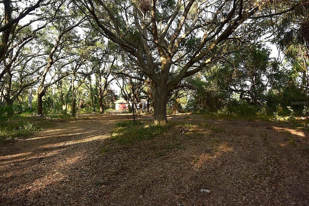 For Sale: $449,900 (6.45 acres)