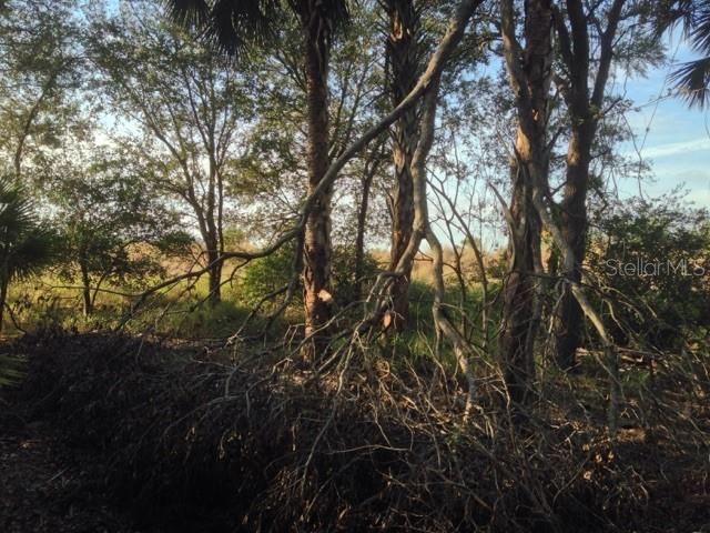 En Venta: $245,000 (10.00 acres)