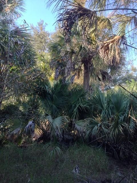 En Venta: $245,000 (10.00 acres)