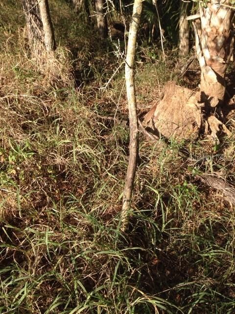 En Venta: $245,000 (10.00 acres)