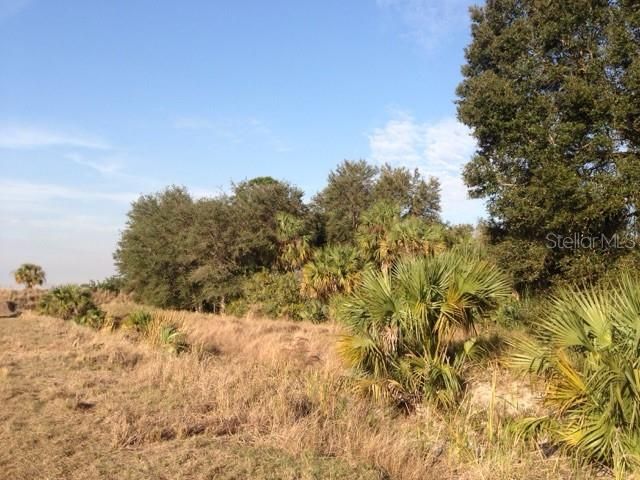 En Venta: $245,000 (10.00 acres)