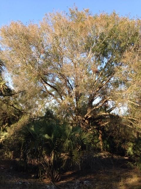 En Venta: $245,000 (10.00 acres)