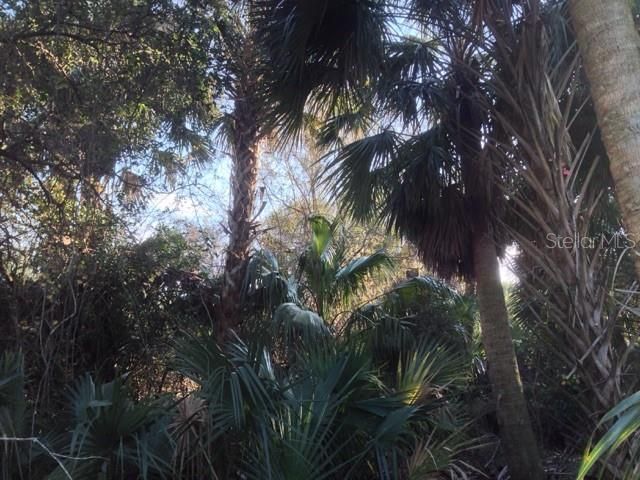 En Venta: $245,000 (10.00 acres)