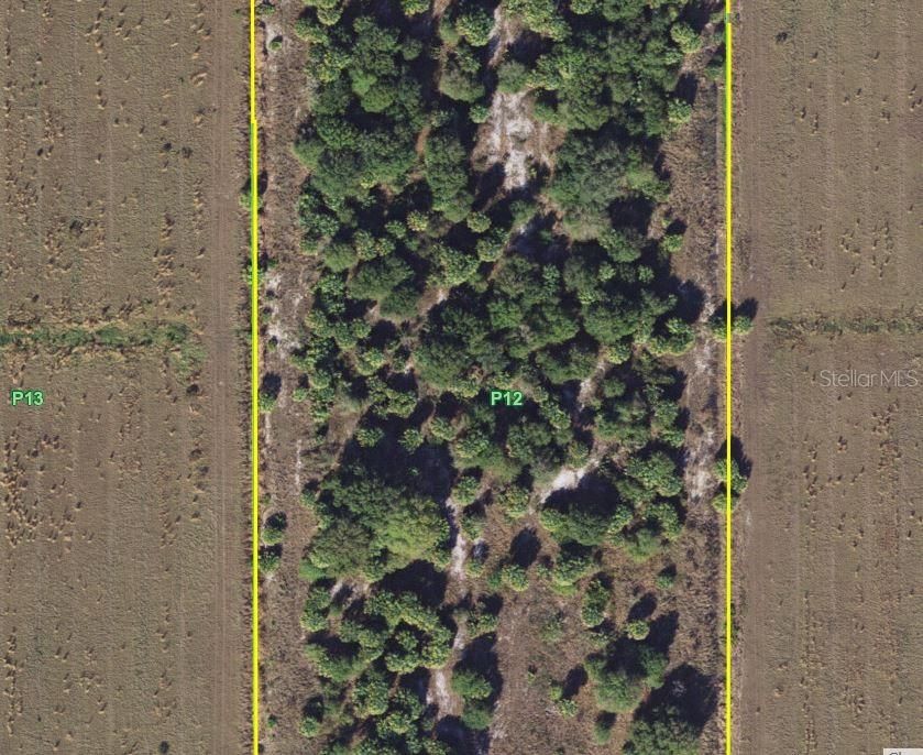 En Venta: $245,000 (10.00 acres)