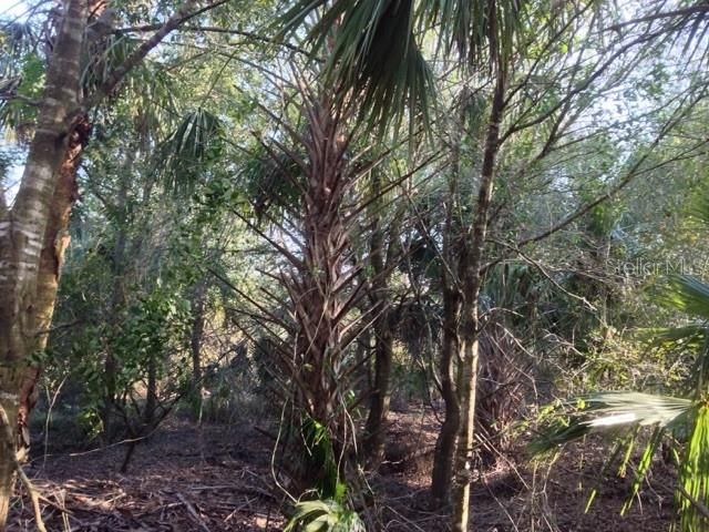 En Venta: $245,000 (10.00 acres)