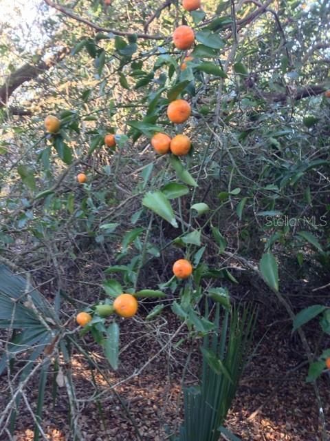 En Venta: $245,000 (10.00 acres)