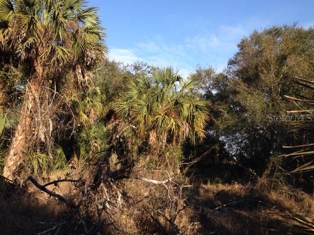 En Venta: $245,000 (10.00 acres)