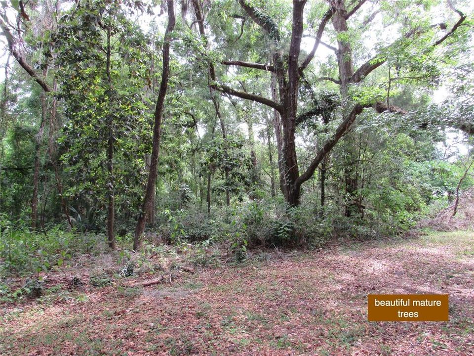 For Sale: $299,900 (3 beds, 2 baths, 1780 Square Feet)