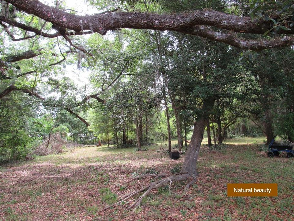 For Sale: $299,900 (3 beds, 2 baths, 1780 Square Feet)