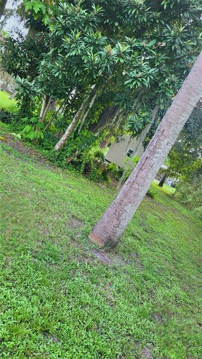 Active With Contract: $205,000 (3 beds, 2 baths, 1215 Square Feet)