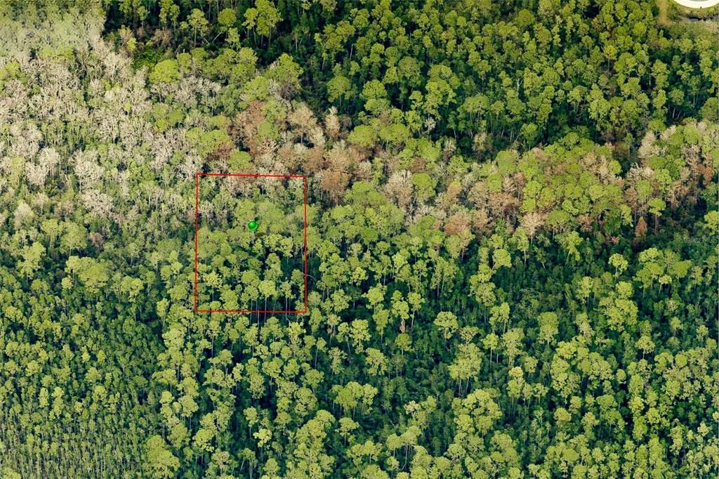 For Sale: $50,000 (1.25 acres)