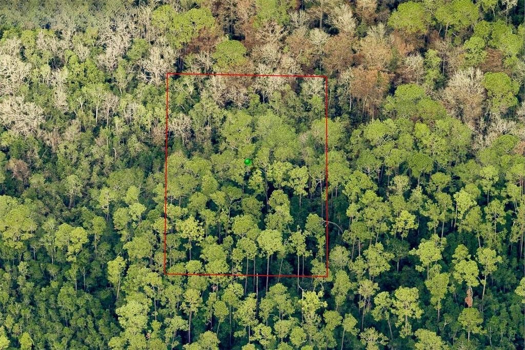 For Sale: $50,000 (1.25 acres)