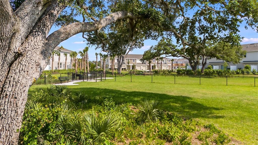 Под контрактом: $325,000 (3 спален, 2 ванн, 1373 Квадратных фут)